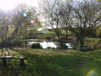 Pit Common