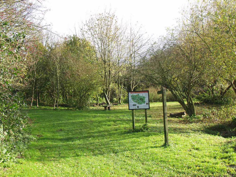 The Pit