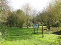 Pit Common