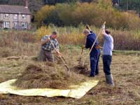 Working party